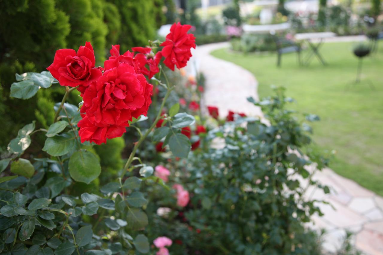 היראצוקה Hotel Sunlife Garden מראה חיצוני תמונה