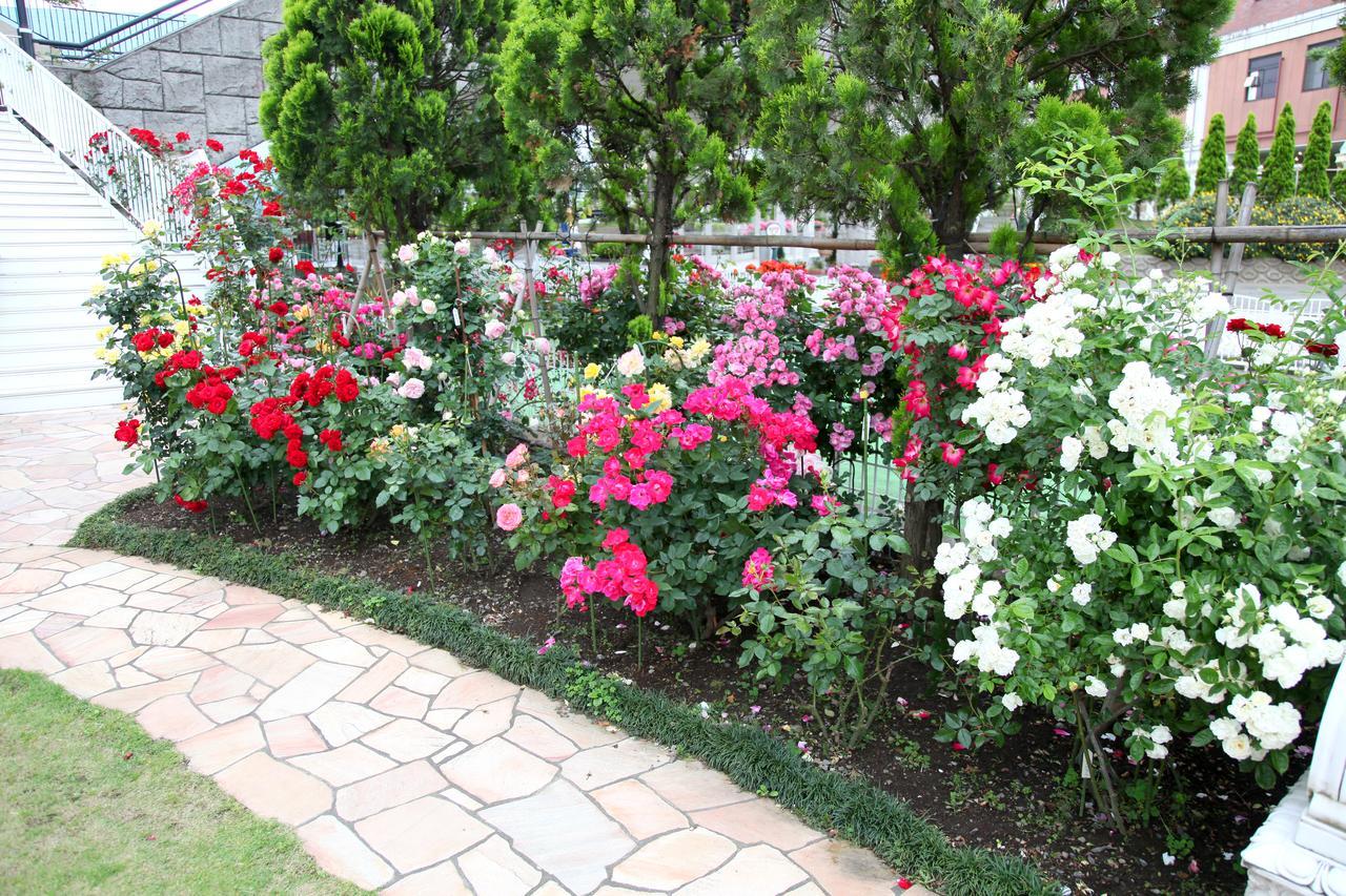 היראצוקה Hotel Sunlife Garden מראה חיצוני תמונה
